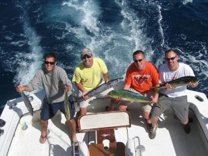 Mahi Mahi Dolphin Dorado Sportfishing