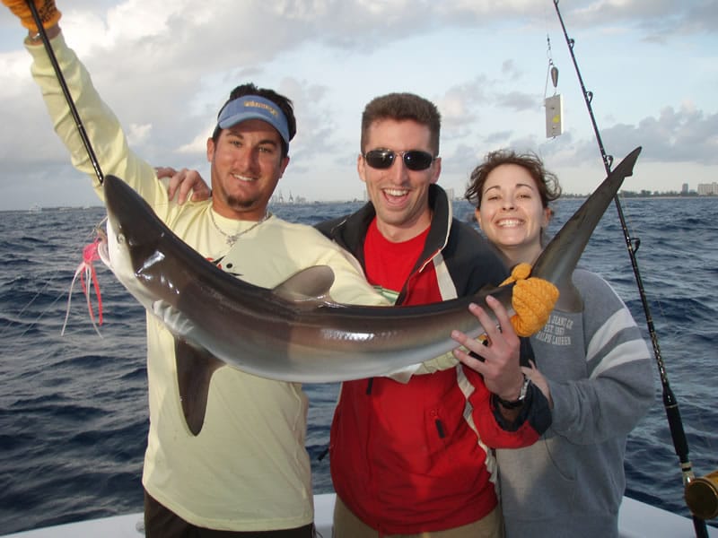 Shark Fishing Charters For Monster Sharks In Fort Lauderdale