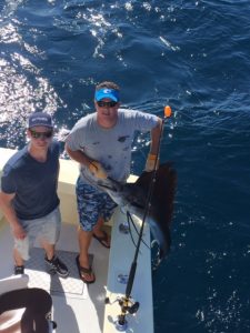 Sailfish Taged And Relased 